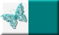 butterfly1_tag