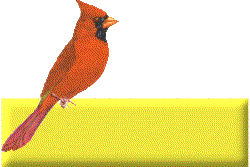 cardinal_tag