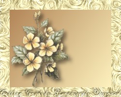 floral1_callingcard