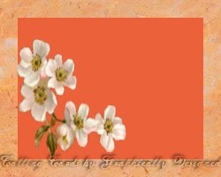 floral4_callingcard