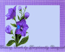 floral6_callingcard