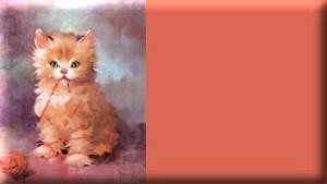 kitten1jpg_tag