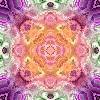 wild9_tile"